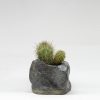 Kurinuki Nature nº9