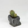 Kurinuki Nature nº9