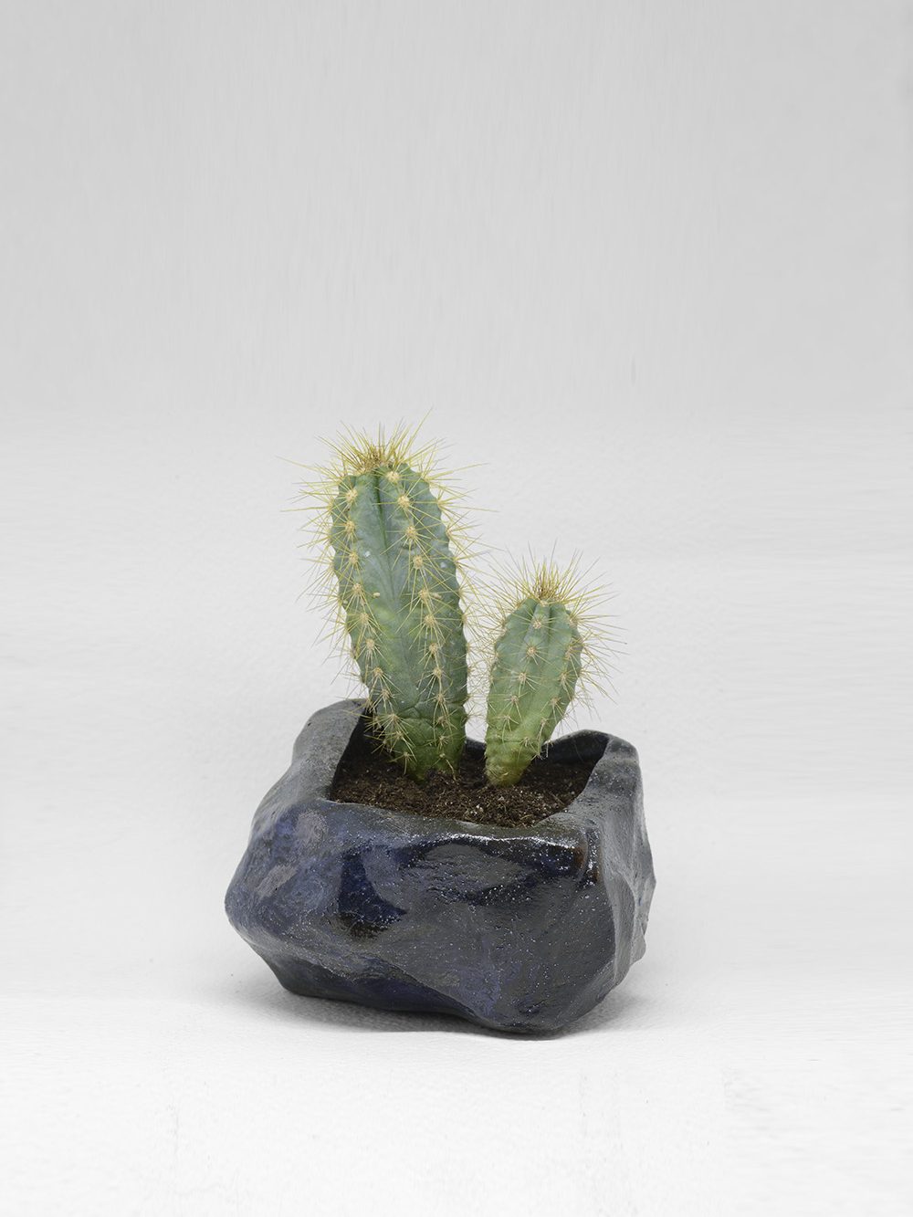 Kurinuki Nature nº8